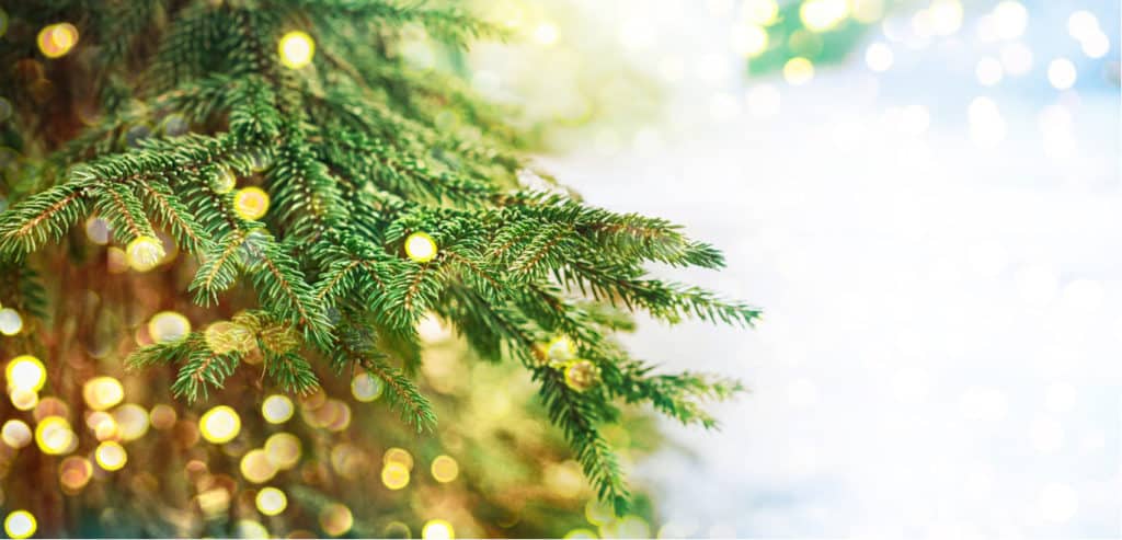 Online holiday sales increase 18.6 year over year