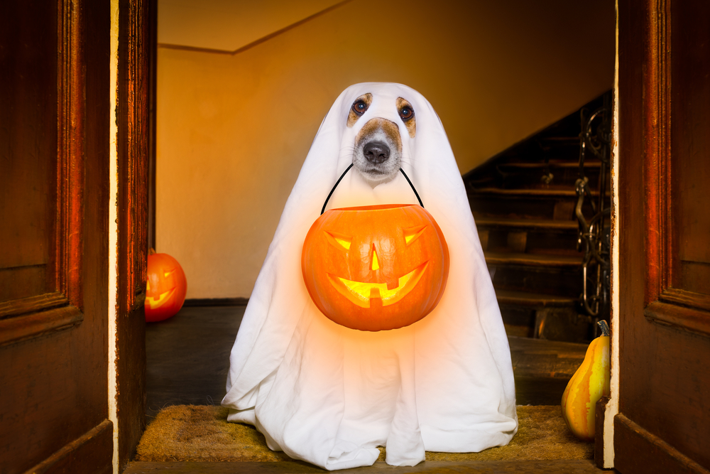Halloween ecommerce strategies