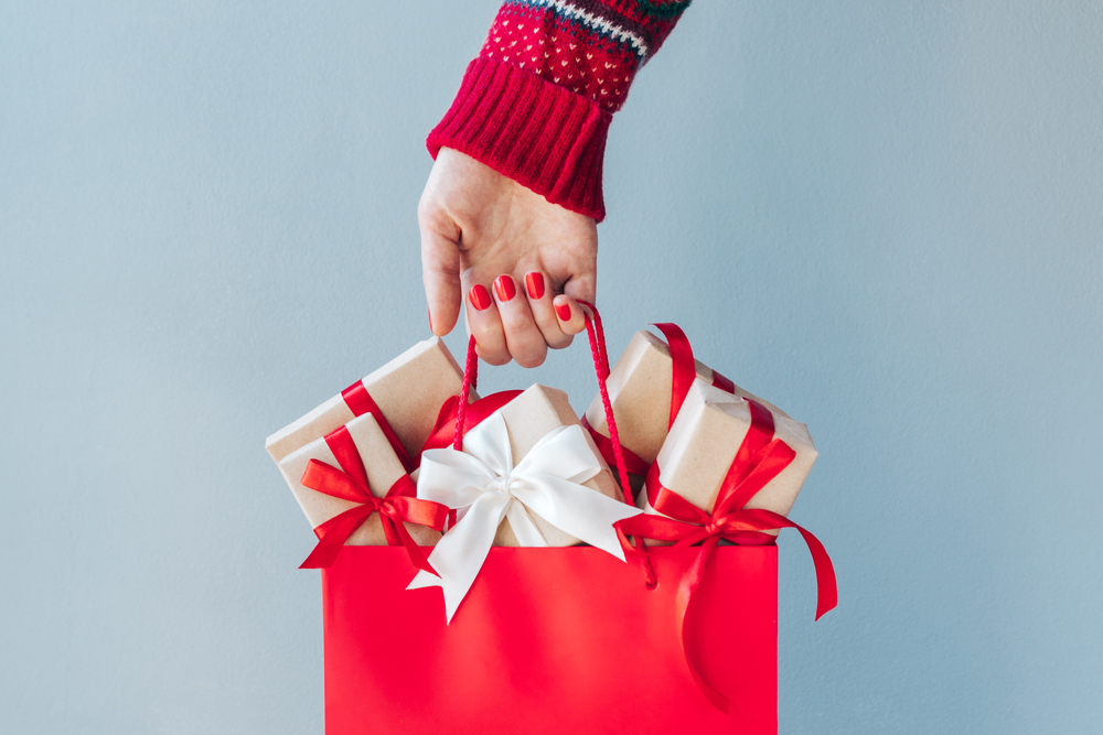 holiday sales results November