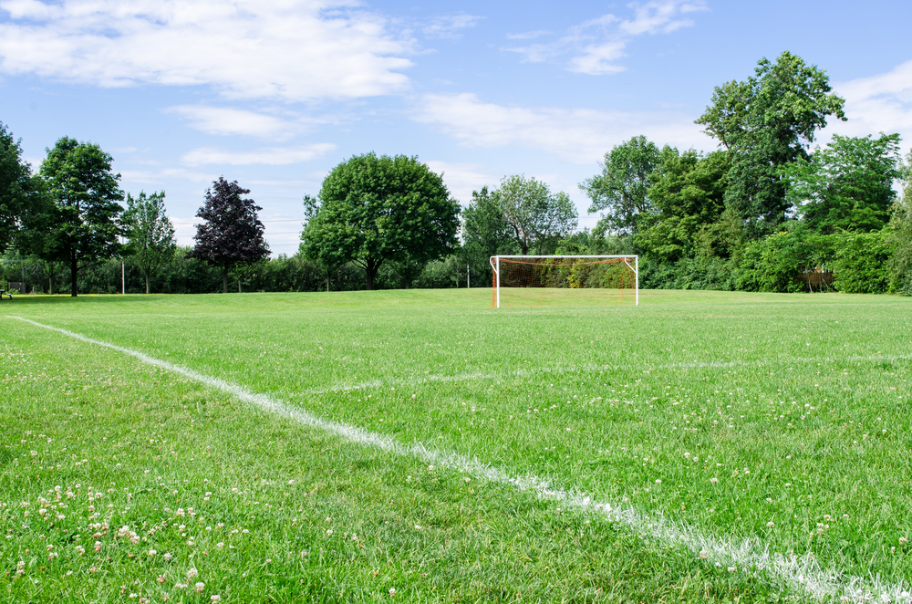 The Soccer Post acquisition of Soccer Pro, announced March 13, expands the former's US presence to 47 stores.