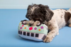 Lucy’s Magic Bus Squeaky Plush toy